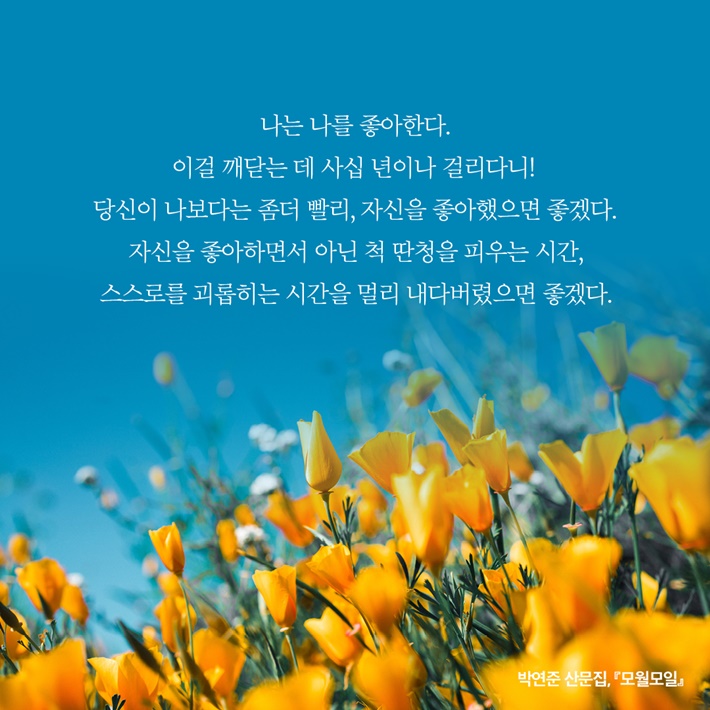 카드뉴스1