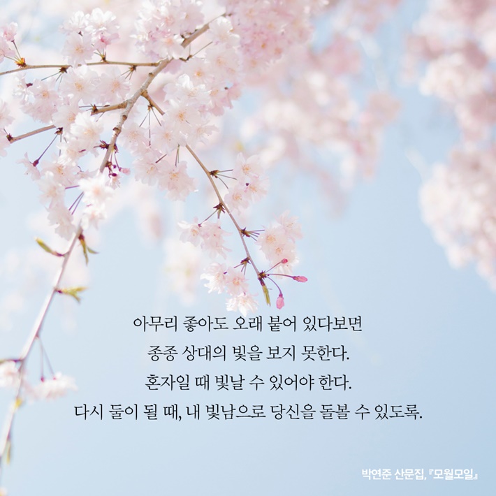 카드뉴스4