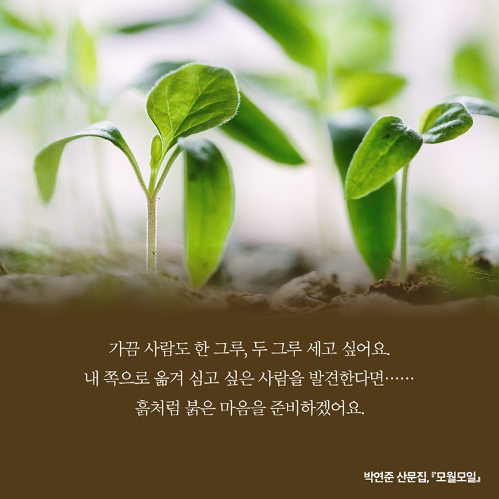 카드뉴스7