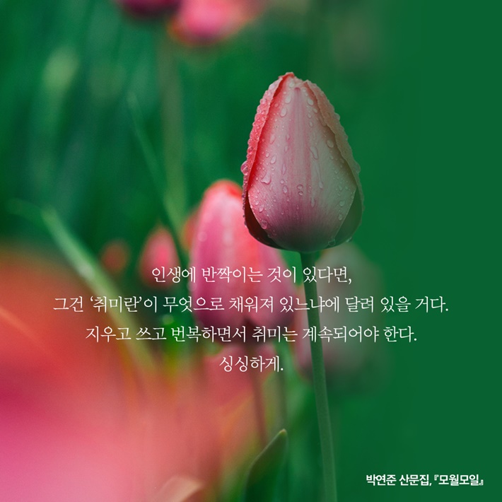 카드뉴스8