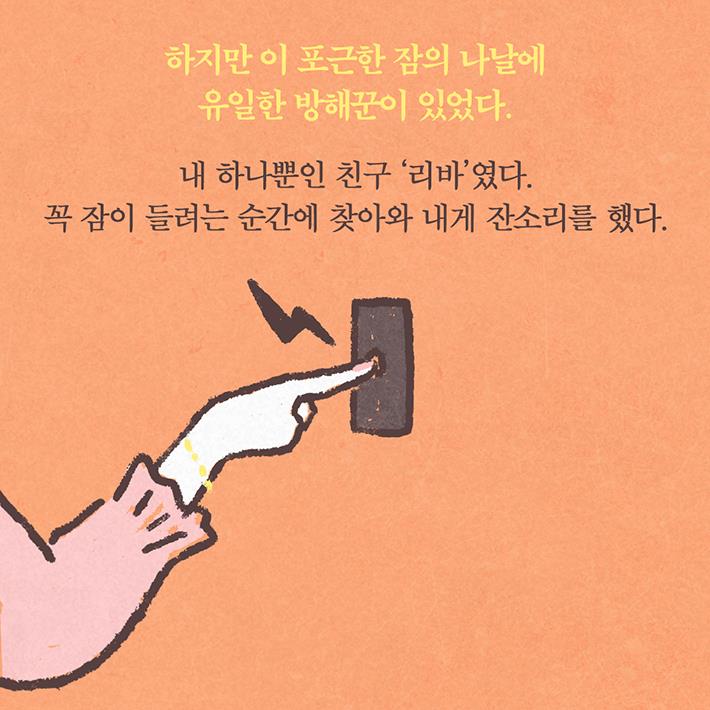 카드뉴스6