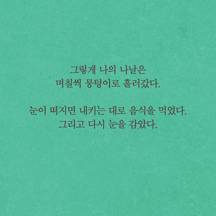 카드뉴스9