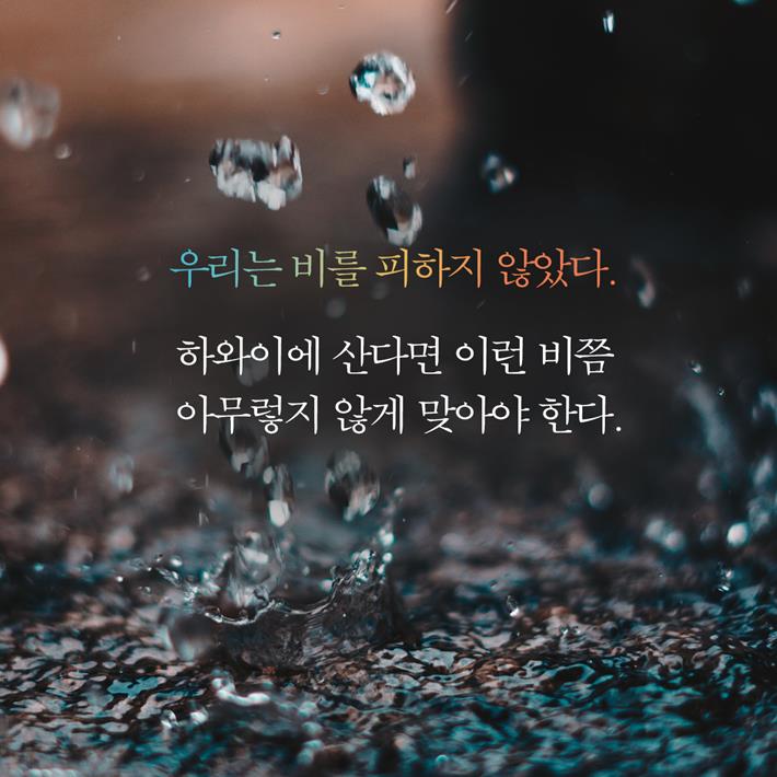 카드뉴스9