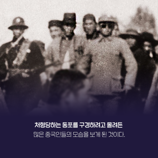 카드뉴스5