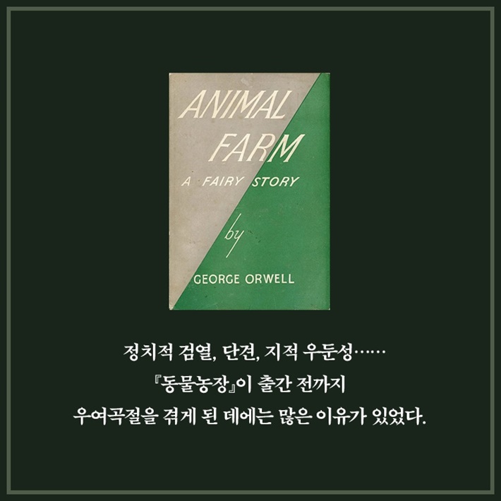 카드뉴스2