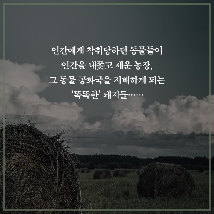 카드뉴스4