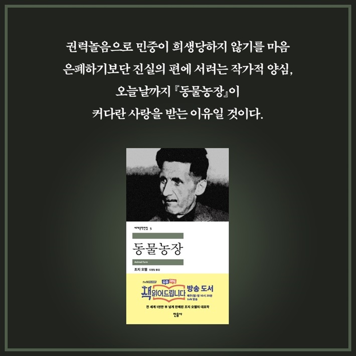 카드뉴스8