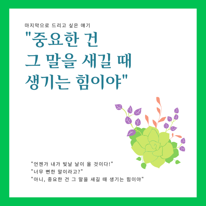 카드뉴스12