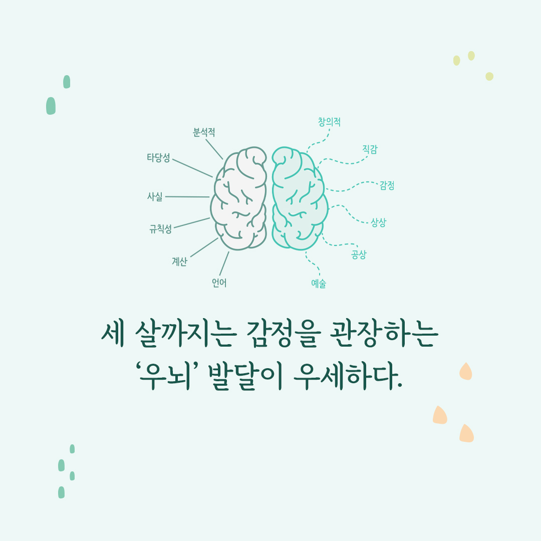 카드뉴스4