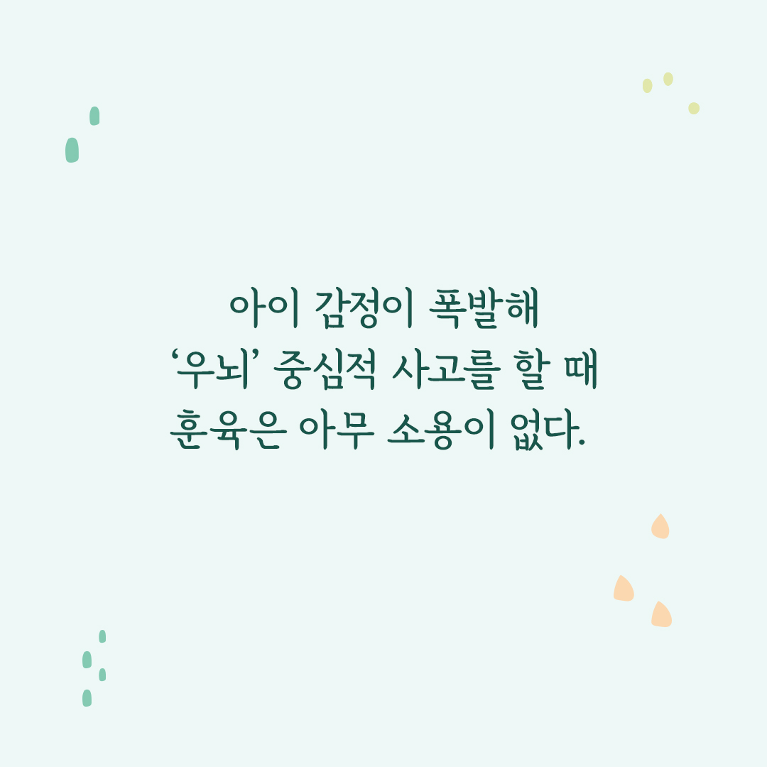 카드뉴스5