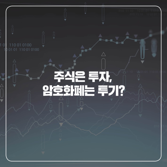 카드뉴스5