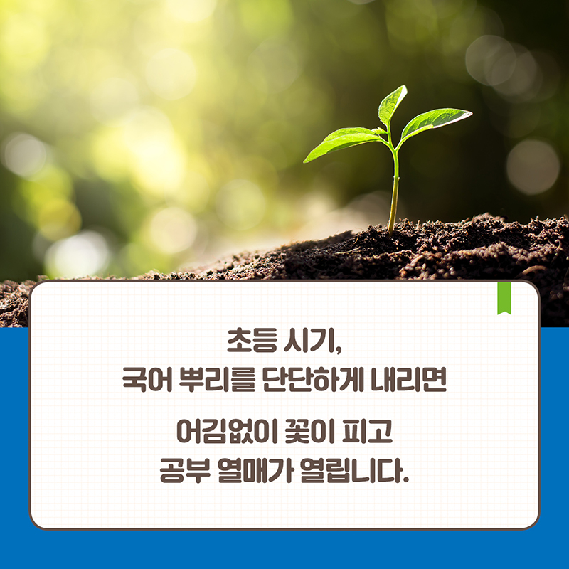 카드뉴스15