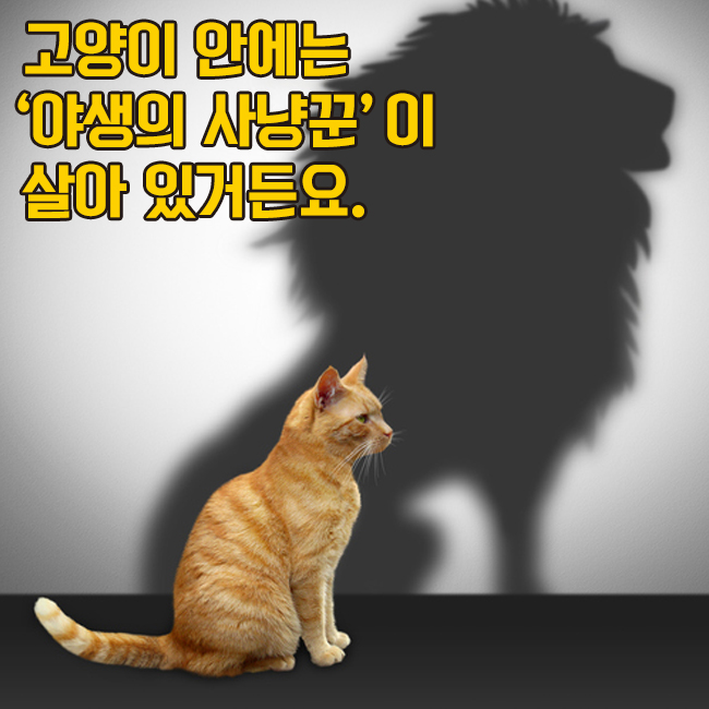 카드뉴스2