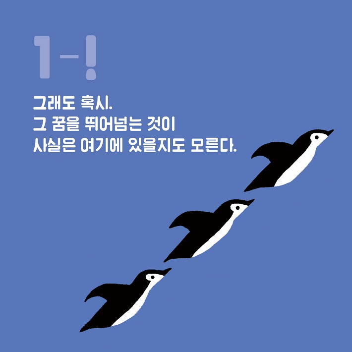 카드뉴스5