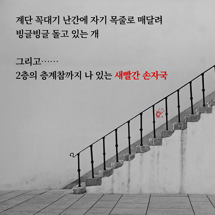카드뉴스7