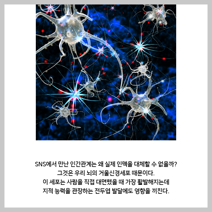 카드뉴스13