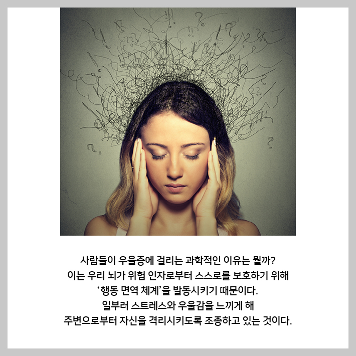 카드뉴스14