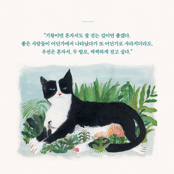 카드뉴스2