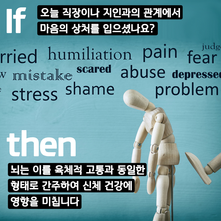 카드뉴스1