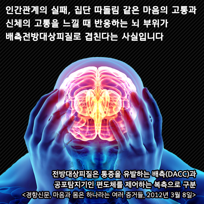 카드뉴스3