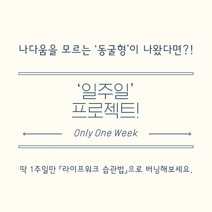 카드뉴스4