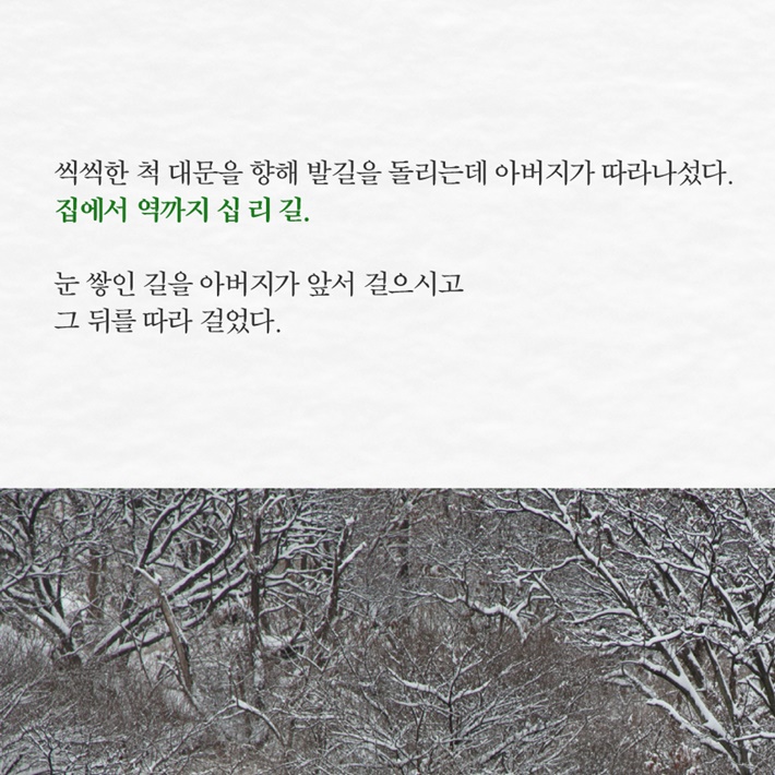 카드뉴스5