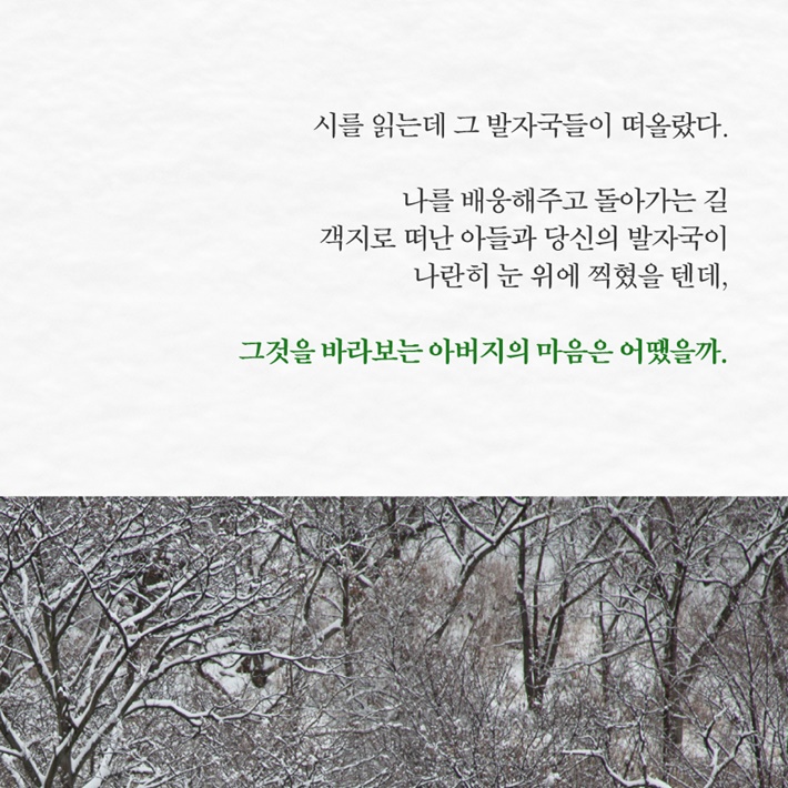 카드뉴스6