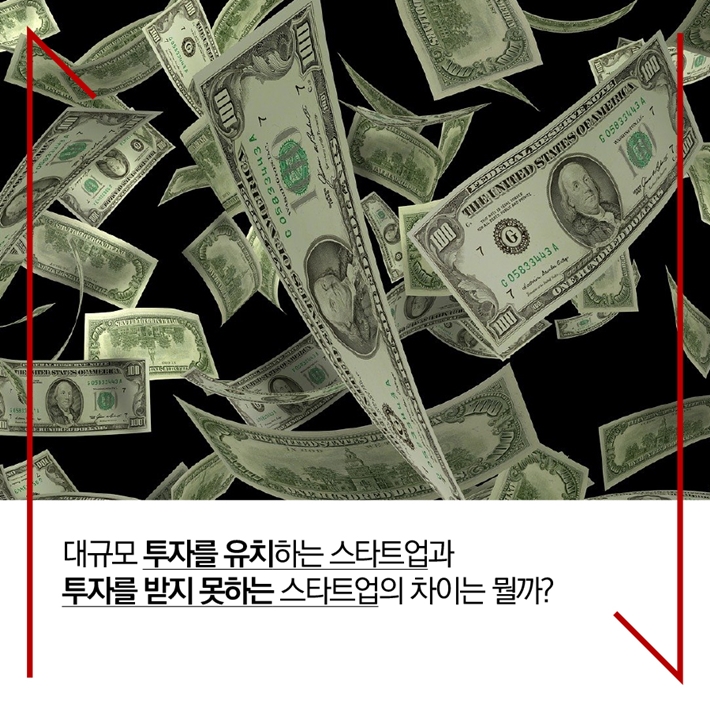 카드뉴스2
