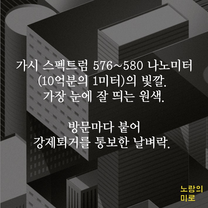 카드뉴스0