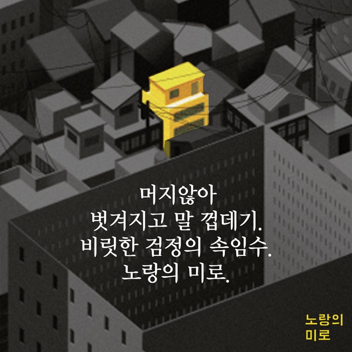 카드뉴스6