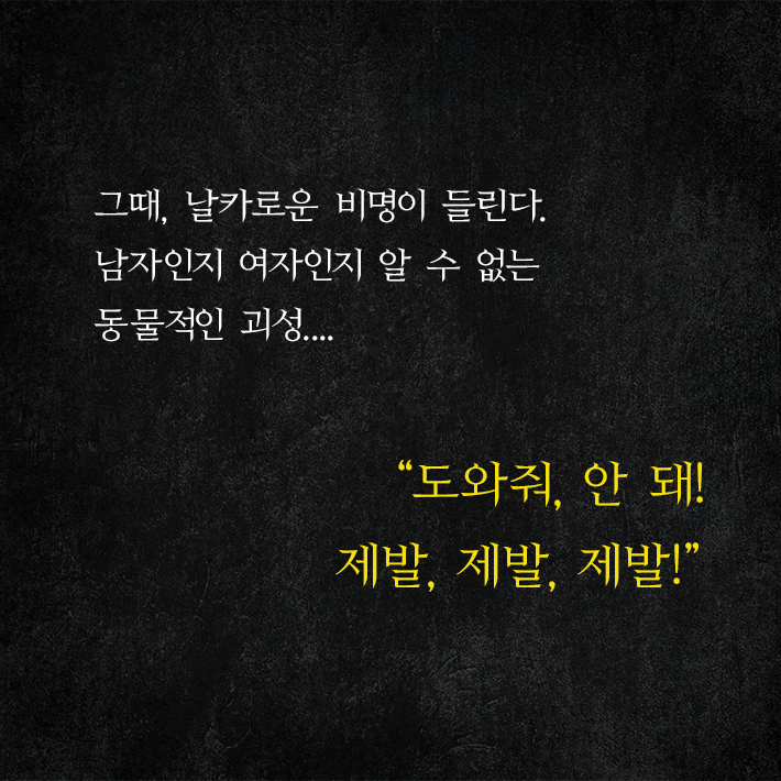 카드뉴스6