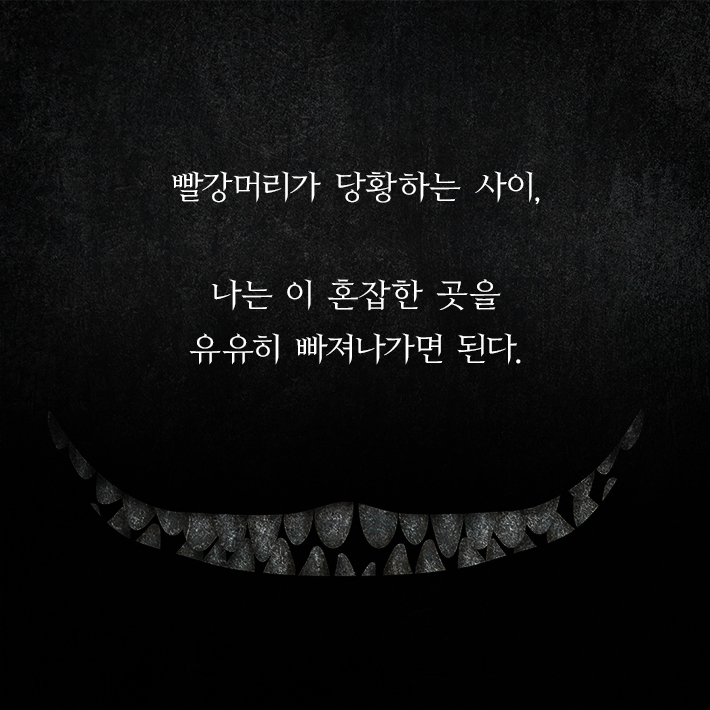 카드뉴스8