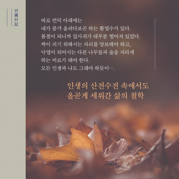 카드뉴스4