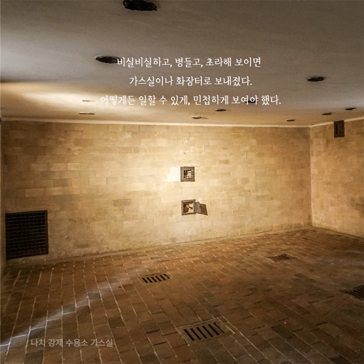 카드뉴스5