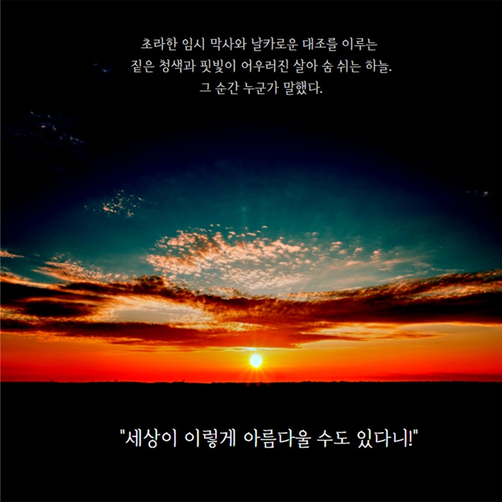 카드뉴스8