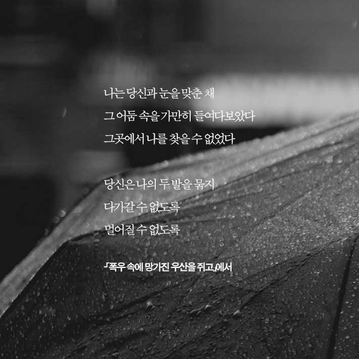카드뉴스4
