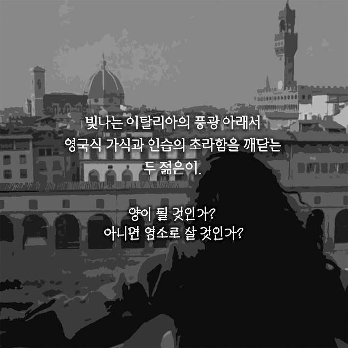 카드뉴스12