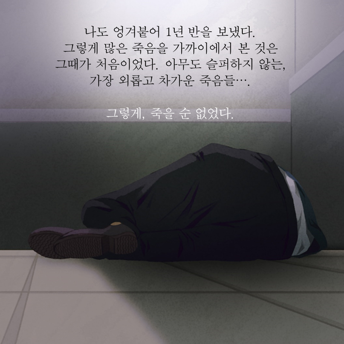 카드뉴스5