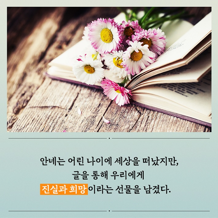 카드뉴스2