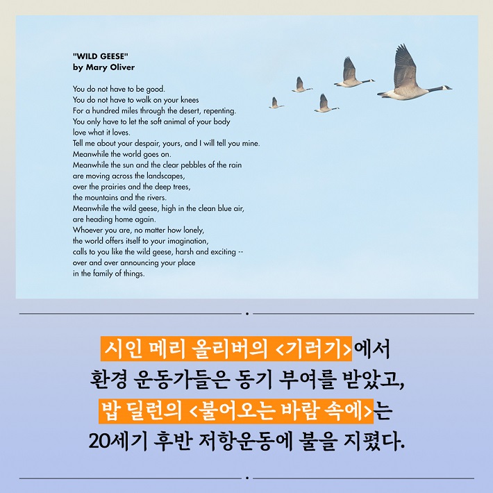카드뉴스5