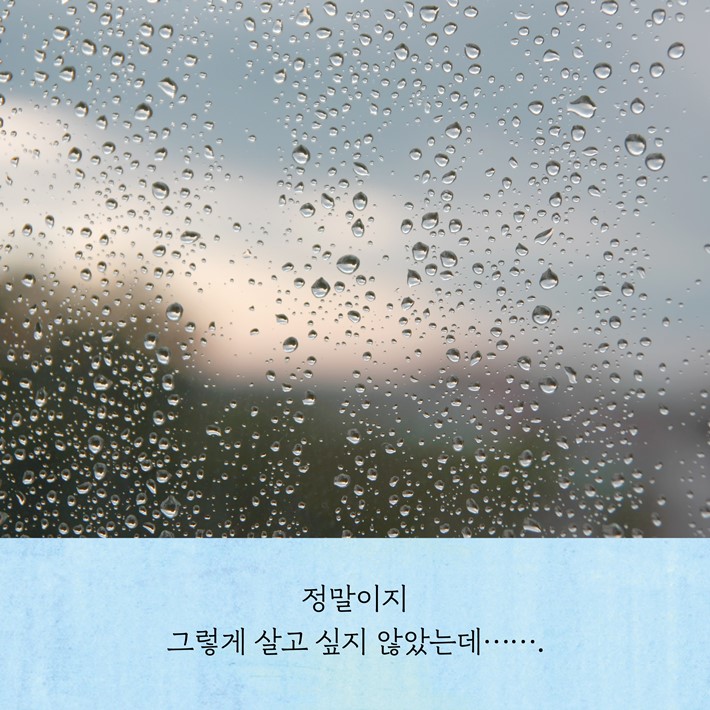 카드뉴스1