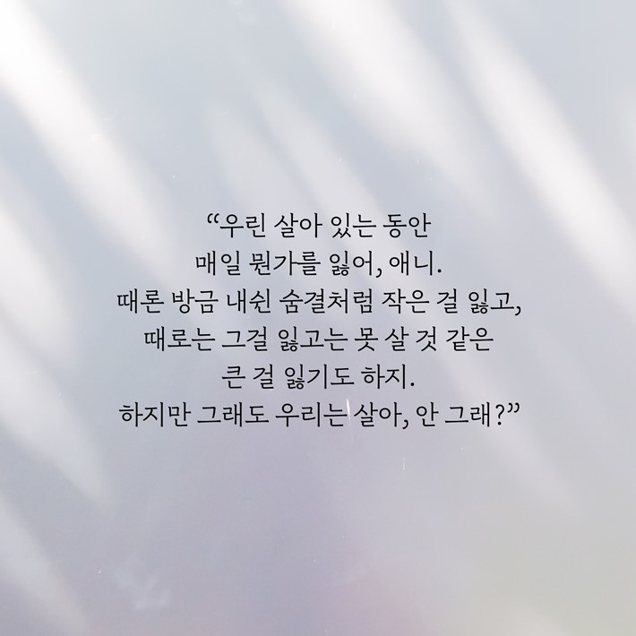 카드뉴스5