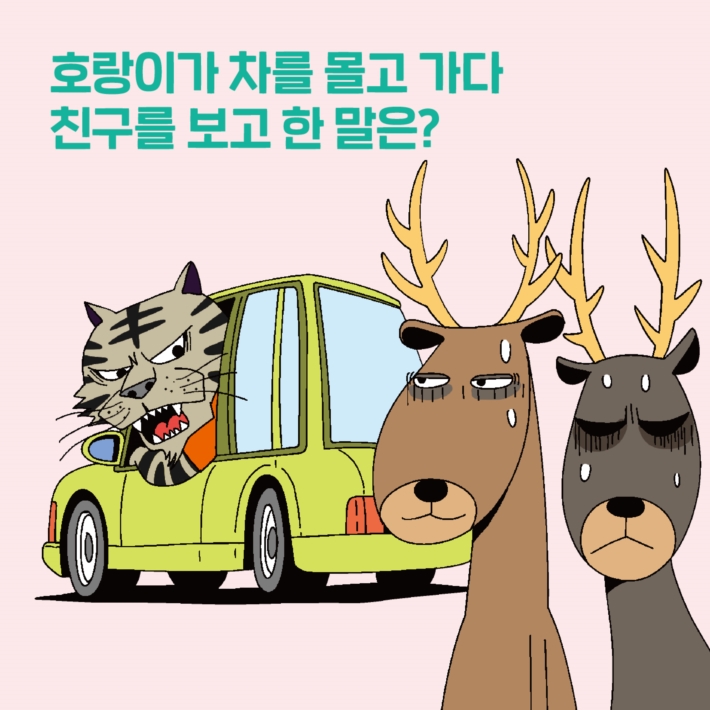 카드뉴스5