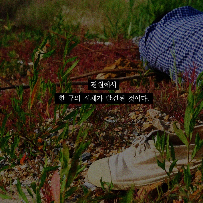 카드뉴스3