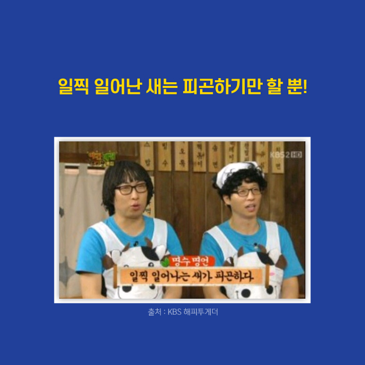 카드뉴스5