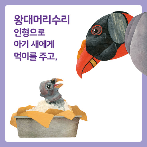카드뉴스2
