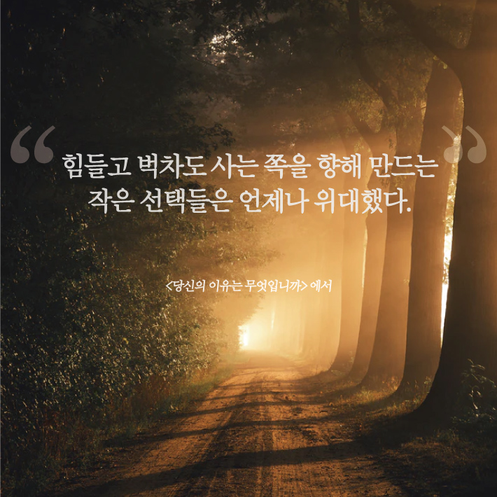 카드뉴스15