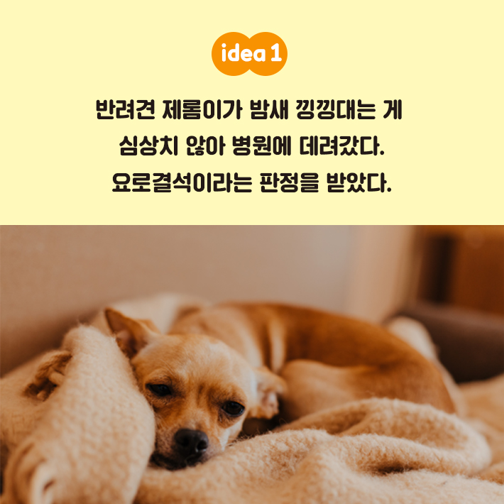 카드뉴스0