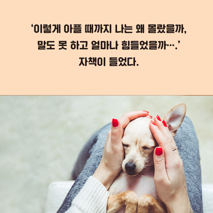 카드뉴스1