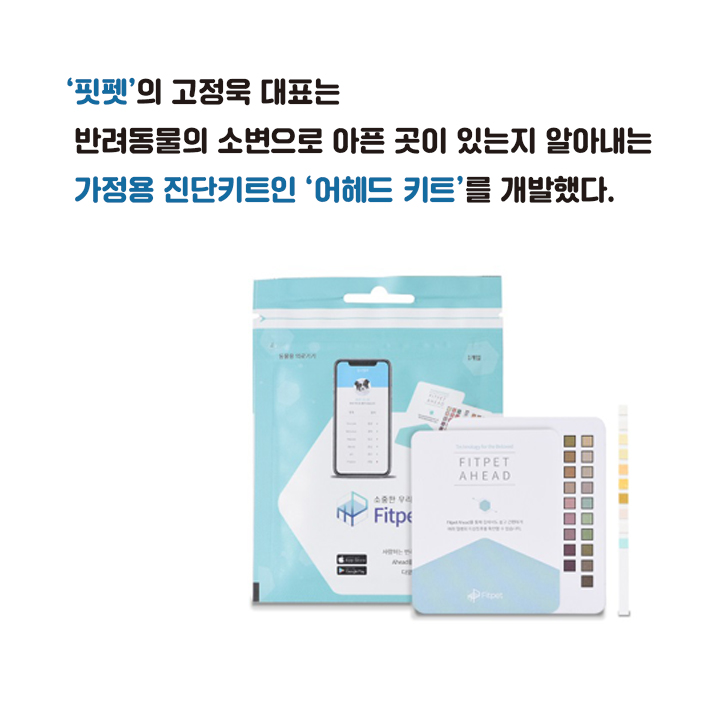 카드뉴스3